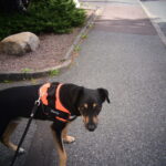 dsc 5837