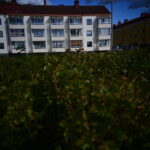 dsc 5848