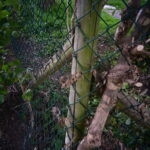 dsc 5851
