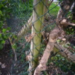 dsc 5852
